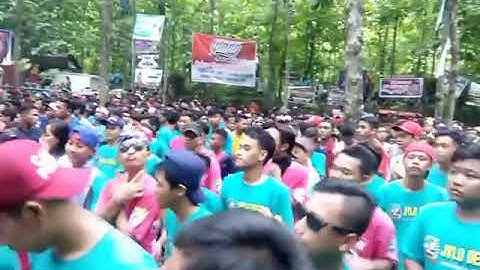 New pallapa live ipang joged damai jylo demak(pasukan goyang bergudul)