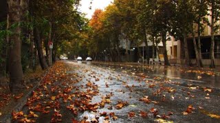 Walking In The Alleys Of Shemiran Tehran On An Autumn Day