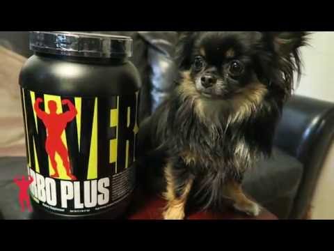 Chris Tuttle: Intra and Post-Workout Carbohydrate Intake