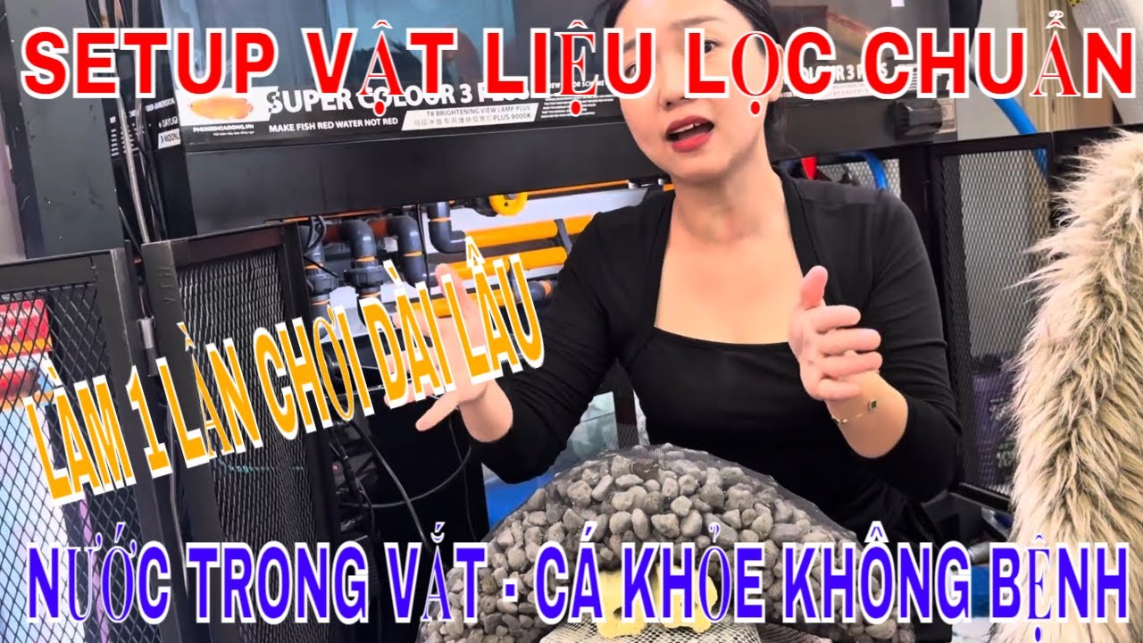 🔴SETUP VẬT LIỆU LỌC CHO HỒ CÁ RỒNG CHUẨN 100% ĐẢM BẢO NƯỚC TRONG CÁ KHỎE  |KINH NGHIỆM ĐÚC KẾT CHUẨN