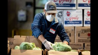 Volunteering at the Food Bank Drive-Thru Amid the Coronavirus Pandemic