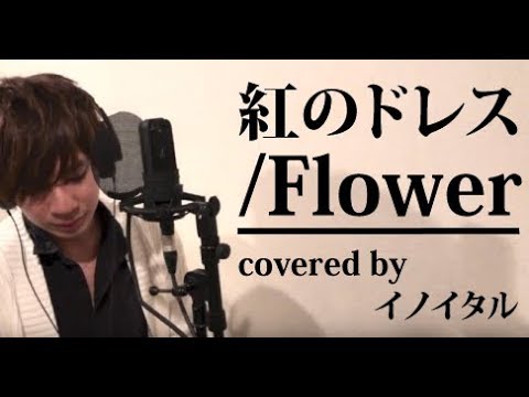 男が歌う 紅のドレス Flower By イノイタル Itaru Ino 歌詞付きフル Youtube