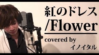 【男が歌う】紅のドレス/Flower by イノイタル(ITARU INO)歌詞付きフル