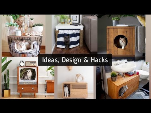 Everyday Design – Simple Cat Ideas & Ikea Hacks Cats Furniture