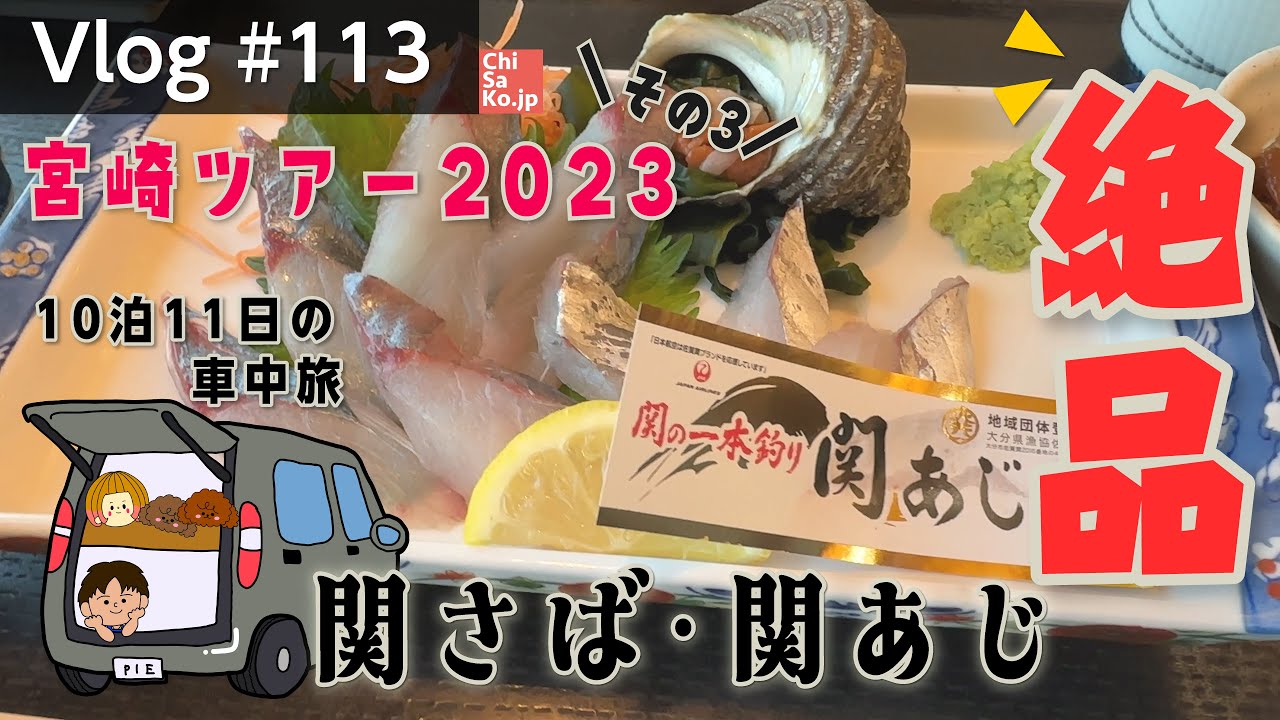あまべの郷 関あじ関さば館で頂く、絶品！関さば関あじ【Vlog#113】宮崎車中泊ツアー2023③