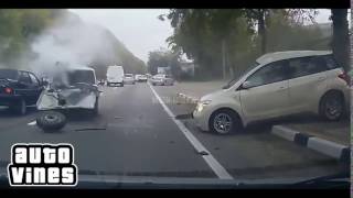 Auto Vines #220