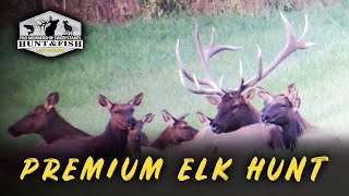 Pro Membership Sweepstakes Drawing For Premium Elk Hunt