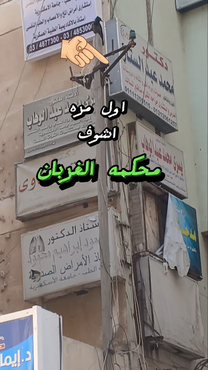 سبحان الله اول مره اشوف محكمه الغربان ليهم قضاه وقانون