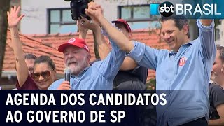 Haddad faz campanha no ABC Paulista e Tarcísio visita interior de SP | SBT Brasil (06/10/22)