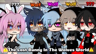 One Bunny In A Whole World Of Wolves || Meme / GLMM || Gacha Life Story || [ Original ] || Part 1 ||