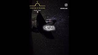 Ислам #шариат