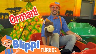 Blippi Orman Hayvanlarını Keşfediyor Blippi Türkçe - Çocuklar Için Eğitici Videolar Türkçe Dub