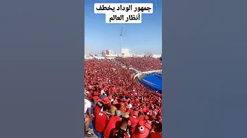 جمهور الوداد يخطف أنظار العالم 