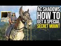 How To Get A Secret Mount In Assassin S Creed Shadows AC Shadows Secrets