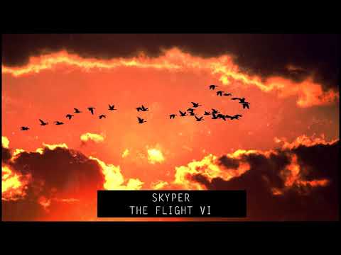 Skyper - The Flight VI
