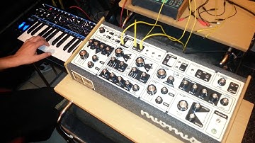 Dreadbox erebus plays murmux semi modular