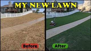 Growing A NEW Lush Lawn from Bermuda Sprigs by The Lawn Guardian 2,595 views 1 month ago 12 minutes, 39 seconds