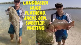 LANDBASED JACKS, MONSTER FLATHEAD(CROC), JEW, SWEETLIP, WHITING- Unreal adventure with mates!