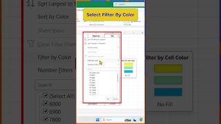 How to show color wise filter. #excel #exceltricks #exceltutorialforbeginners