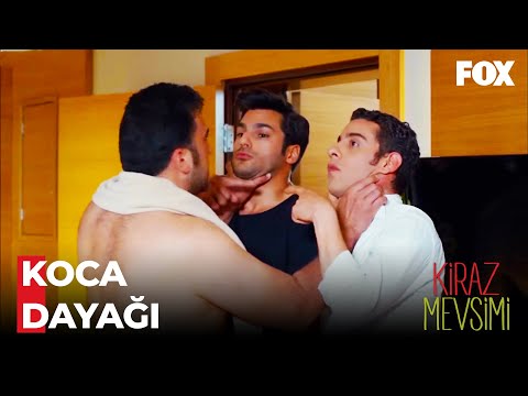 Ayaz ve Mete Dayak Yedi - Kiraz Mevsimi 49. Bölüm