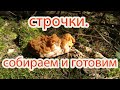 Строчек гигантский.Собираем и готовим.