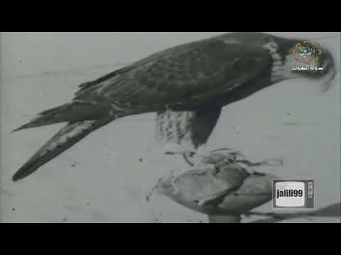 عام ١٦٦٩م حصن بن عريعر في الكويت