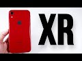 The iPhone XR Is A Great Budget Choice For 2023! (Now $238)