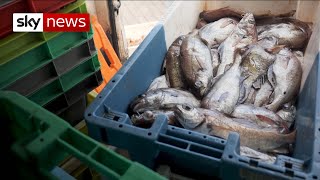 Brexit fails to deliver for Scottish fishermen
