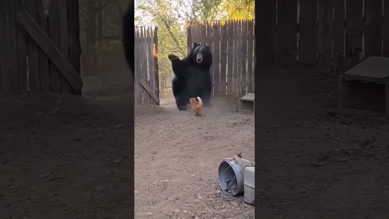 The BRAVE Cat Does Not Give Up! 💪 Saving Kittens from a Bear! 🐱💥🐻 