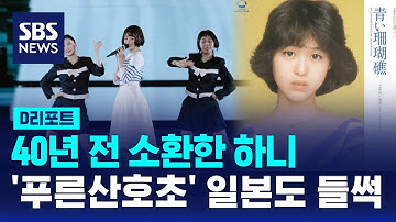 40년 전 소환한 하니 