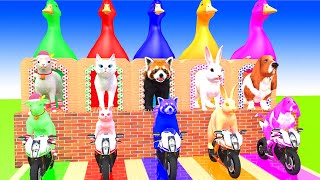 5 Giant Duck, Monkey, Piglet, chicken, dog, rabbit, cow, Sheep, Transfiguration funny animal 2023