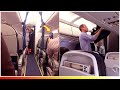 William And Catherine Surprises Fellow Passengers On Commercial British Airways Flight @InsideRoyalLife