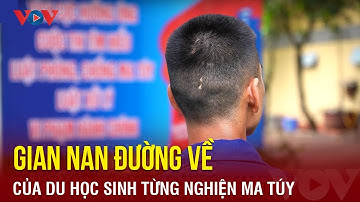 Gian nan đường về của du học sinh từng nghiện ma túy | Báo Điện tử VOV
