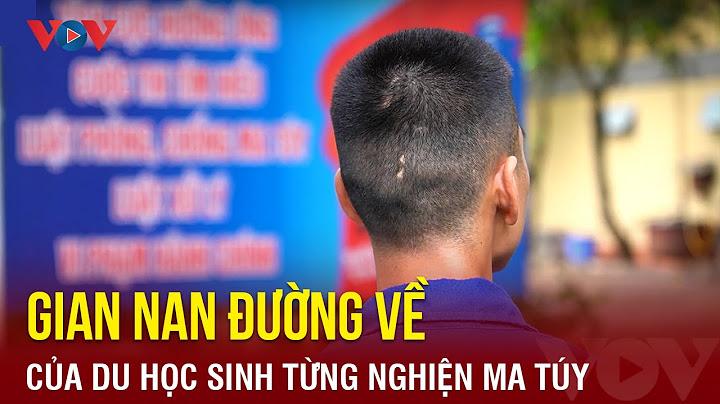 Bao nhiêu học sinh sinh viên nghiện ma túy năm 2024