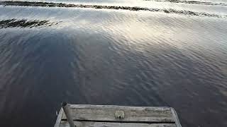 Waving at the Dock by A Little Bit of This 99 views 8 months ago 37 seconds