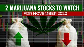 2 Marijuana Stocks To Watch For November 2020