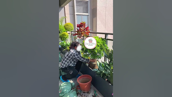 I Created a Tiny Garden on My Balcony and It Completely Transformed My Space