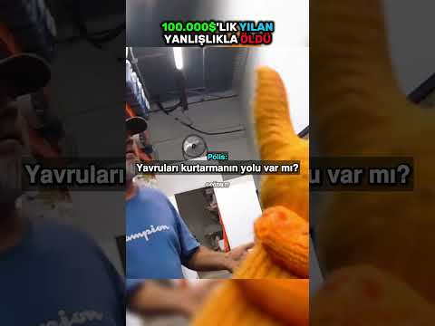 Polisler 100.000 Dolarlık Yılanı Yanlışlıkla Öldürdü 😳 #shorts