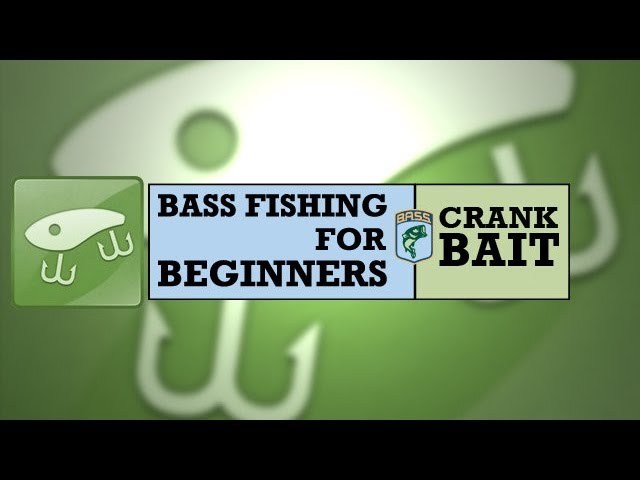 Bass Fishing for Beginners: Crankbait 