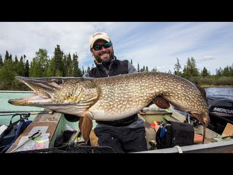 GIANT Pike in Manitoba — Full Fight! ✓ 