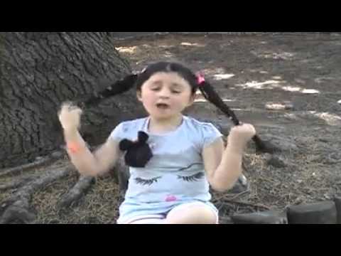 სტუდია იაკამი–პეპი