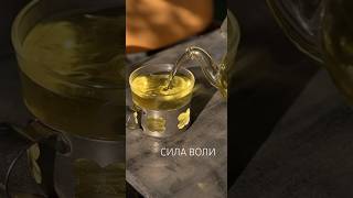 День 17. Сила воли, что же это? Мотивация. Меняю жизнь за год #мотивацияивдохновение