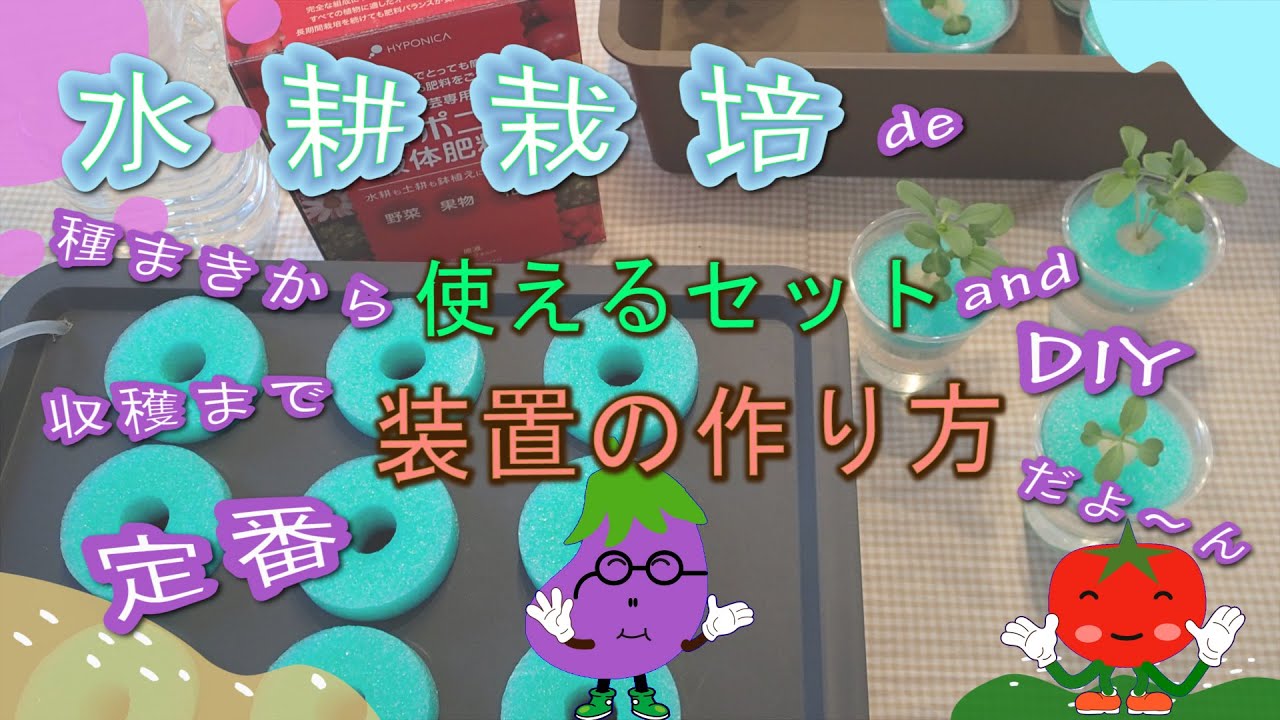 【裏庭の水耕菜園＃07】これは使える！水耕栽培定番装置の作り方　家庭菜園やベランダ菜園、室内栽培などDIYで工作した容器に液肥を希釈した溶液で野菜を育てる。