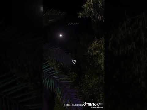 شرين القي روحي بتنده ليه حالات واتس رومانسيه