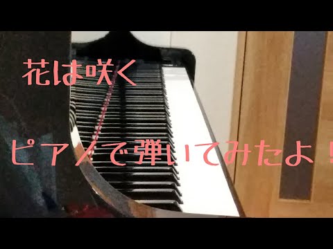 「花は咲く」ピアノ１日目 誰でも弾ける簡単アレンジ 初心者が弾いてみた 楽譜あり(説明欄みてね！)
