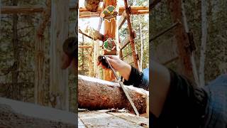 And This Is How You Peel A Log No.2 -97North