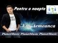 ELIS ARMEANCA - Pentru o noapte