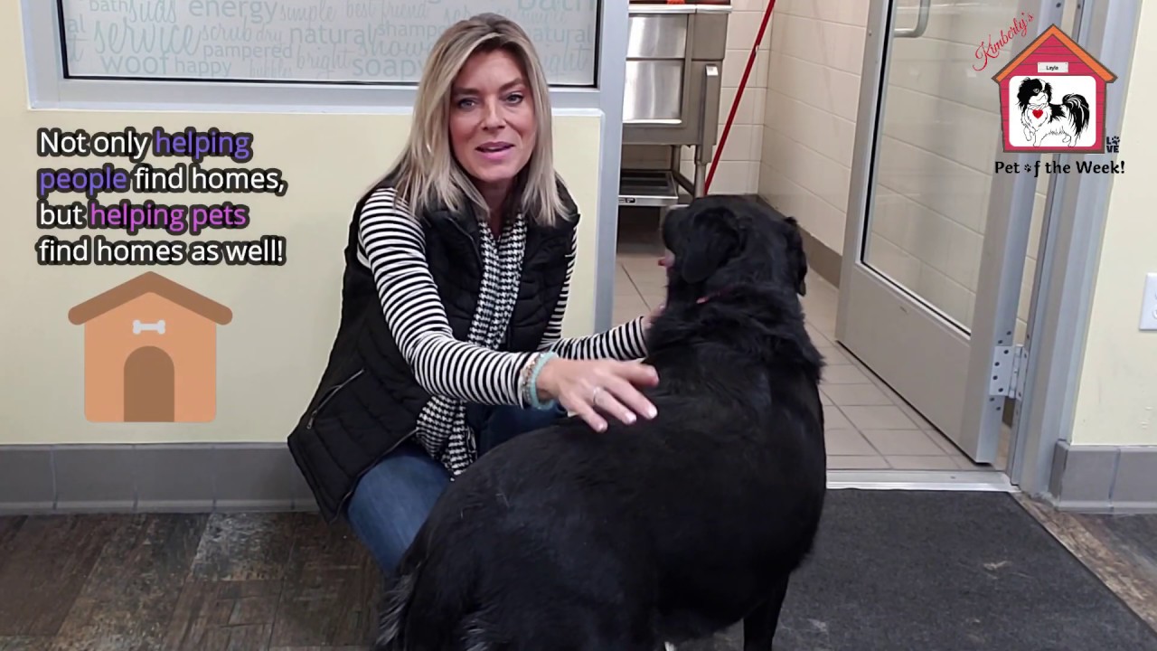 Pet of the Week Olive YouTube