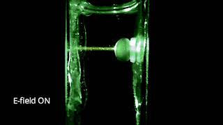 Particle-covered droplet - Pickering emulsion droplet