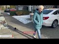 Wild crow goes for walk with woman every day
